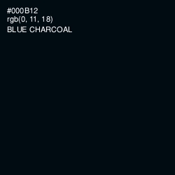 #000B12 - Blue Charcoal Color Image